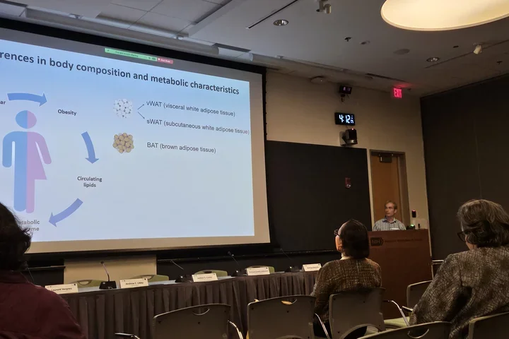 Laurent behind a podium presenting his research slides projecting on a screen.