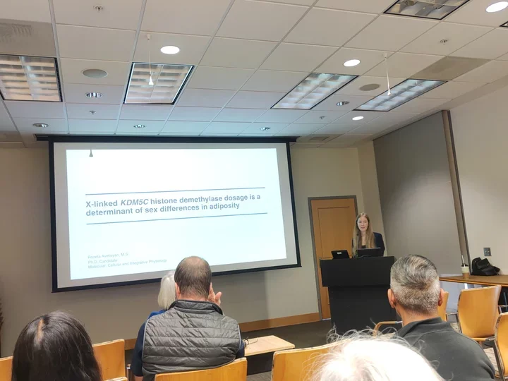 Rozeta Avetisyan’s dissertation defense.